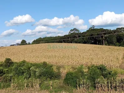 Lote/Terreno à venda, 153000m² no Linha Palmeiro, Farroupilha