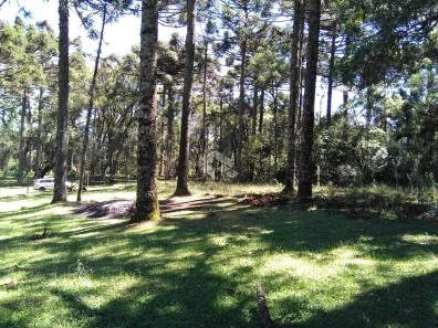 Lote/Terreno à venda, 750m² no , Canela