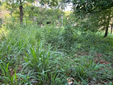 Lote/Terreno à venda, 1000m² no Garças, Belo Horizonte