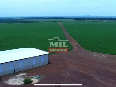 Fazenda/Sítio à venda, 500m² no Santo Antônio, Redenção