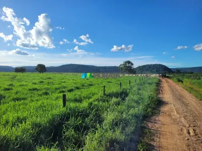 Fazenda/Sítio com 5 Quartos à venda, 2279m² no , Itacarambi