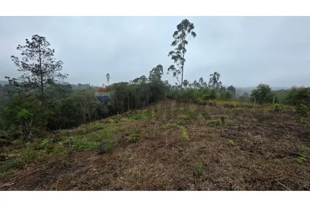 Lote/Terreno à venda, 38301m² no Pouso Alegre, Santa Isabel
