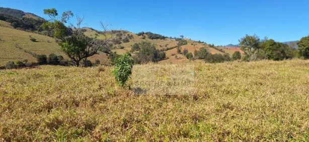 Lote/Terreno à venda, 20m² no , Santa Vitória