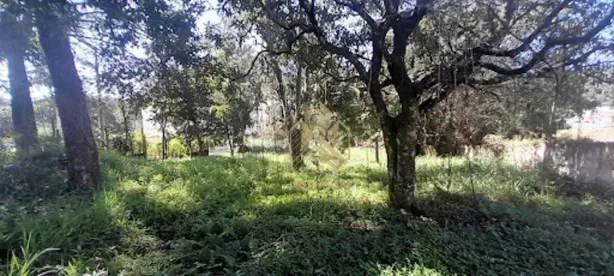 Lote/Terreno à venda, 6048m² no Jardim Maristela, Atibaia