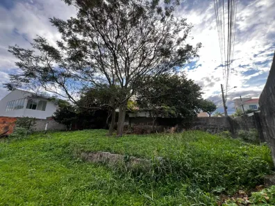 Lote/Terreno à venda, 490m² no Estreito, Florianópolis