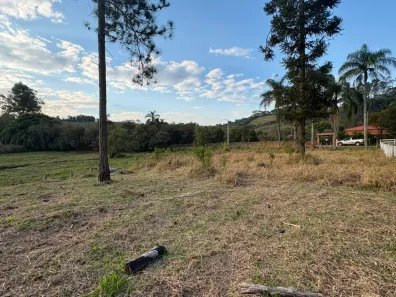 Fazenda/Sítio à venda, 1224m² no , Dom Viçoso