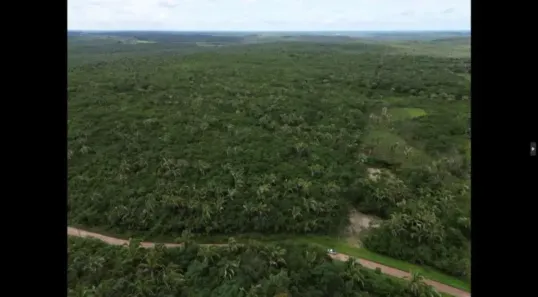 Fazenda/Sítio com 1 Quarto à venda, 400m² no , Chapadinha