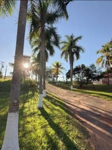 Lote/Terreno à venda, 21000m² no , Bady Bassitt