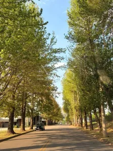 Lote/Terreno à venda, 1000m² no Caxambu, Jundiaí