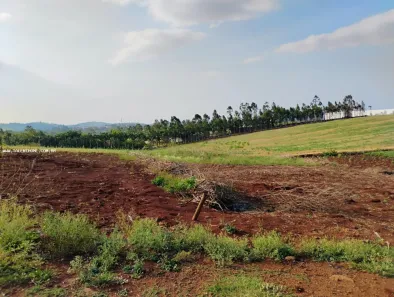 Lote/Terreno à venda, 1000m² no Jataizinho, Jataizinho