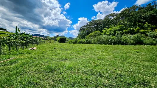 Fazenda/Sítio à venda, 19000m² no , São Bento do Sapucaí