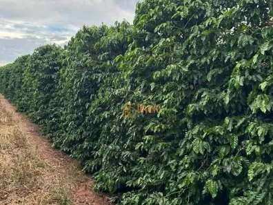 Fazenda/Sítio à venda, 242000m² no Palmeiral, Botelhos