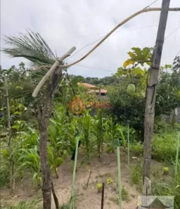 Fazenda/Sítio com 2 Quartos à venda, 32m² no RIBEIRAO BONITO, Piedade