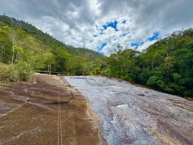 Lote/Terreno à venda, 20000m² no 2590, Paulo Lopes