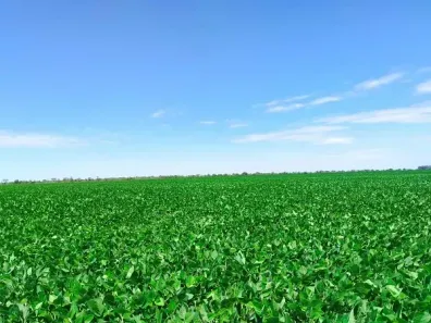 Fazenda/Sítio à venda, 5372400m² no São Domingos, União da Vitória