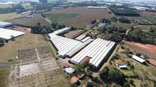 Fazenda/Sítio com 8 Quartos à venda, 14000m² no Área Rural de Holambra, Holambra