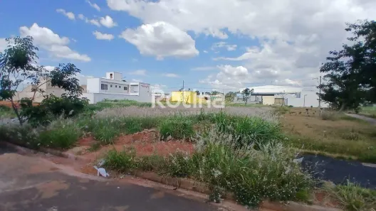 Lote/Terreno à venda, 250m² no Novo Mundo, Uberlândia