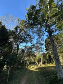 Lote/Terreno à venda, 1000m² no Centro, Mairinque