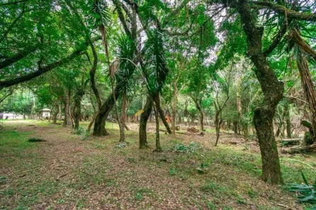 Lote/Terreno para alugar, 7267m² no Pedra Redonda, Porto Alegre