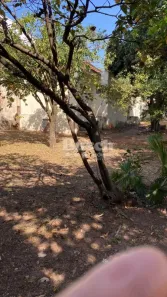 Lote/Terreno à venda, 130m² no Vila Nova Cidade Universitária, Bauru