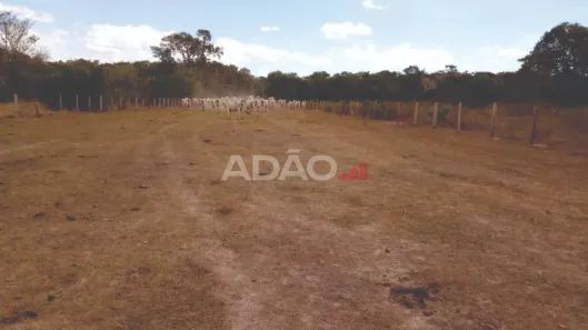 Fazenda/Sítio à venda, 97210000m² no , Cocalinho