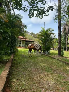 Fazenda/Sítio com 4 Quartos à venda, 9200m² no Augusta Mota, Montes Claros