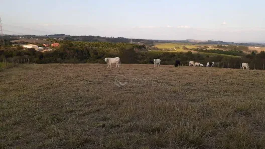 Fazenda/Sítio à venda, 20000m² no Elias Fausto, Elias Fausto