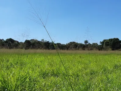 Lote/Terreno à venda, 20000m² no São Vicente, Baldim