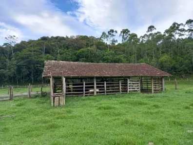 Fazenda/Sítio à venda, 97558m² no Área Rural de Biguaçu, Biguaçu