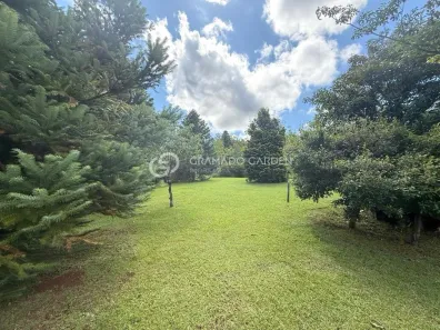 Fazenda/Sítio com 1 Quarto à venda, 47238m² no Linha 28, Canela