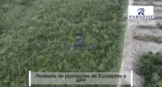 Fazenda/Sítio à venda, 305000m² no , Entre Rios