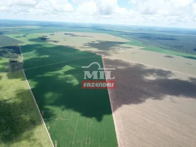 Fazenda/Sítio à venda, 500m² no , Canarana