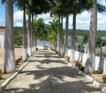 Fazenda/Sítio com 4 Quartos à venda, 8000m² no Nova Parnamirim, Parnamirim