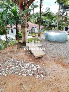 Fazenda/Sítio com 4 Quartos à venda, 120m² no Santa Tereza, São Pedro de Alcântara