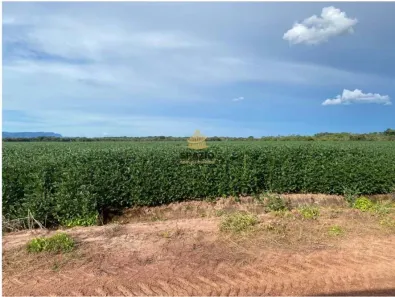 Fazenda/Sítio à venda, 2398000m² no Centro, Jangada