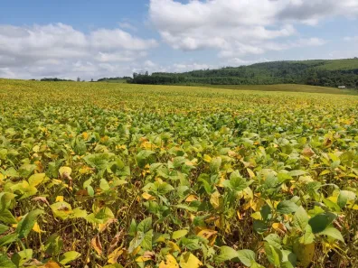 Fazenda/Sítio com 1 Quarto à venda, 1m² no , Pilar do Sul