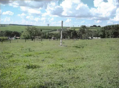 Fazenda/Sítio com 1 Quarto à venda, 36300m² no , Santa Rosa de Viterbo