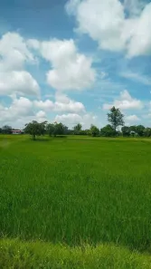 Fazenda/Sítio à venda, 500m² no Rio de Una, Ibiúna