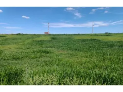 Lote/Terreno à venda, 625m² no , Moreira Sales