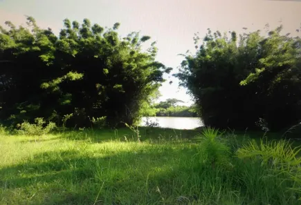 Lote/Terreno à venda, 200000m² no Arquipélago, Porto Alegre