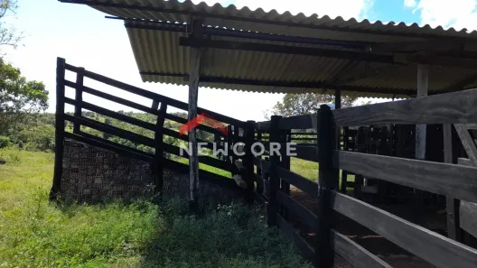 Fazenda/Sítio com 5 Quartos à venda, 200m² no , Recursolândia