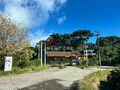 Lote/Terreno à venda, 600m² no Centro, São Francisco de Paula