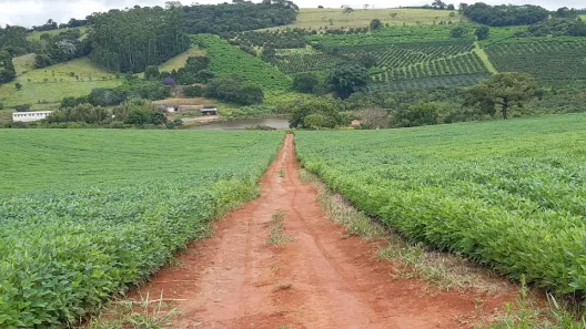 com 1 Quarto à venda, 82m² no Centro, Turvolândia