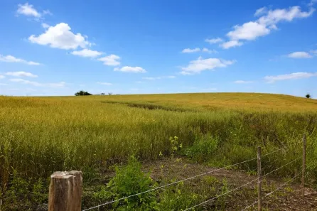 Fazenda/Sítio com 3 Quartos à venda, 5285600m² no , São Mateus do Sul