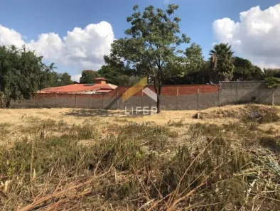 Lote/Terreno à venda, 4500m² no Roseira de Baixo, Jaguariúna