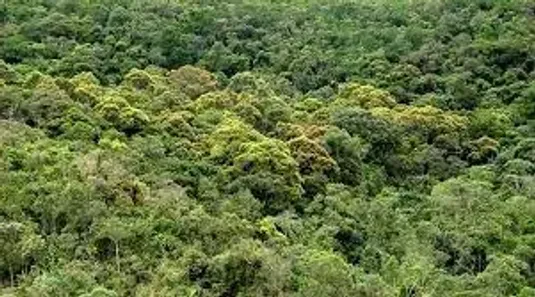 Fazenda/Sítio à venda, 250000m² no , Morretes