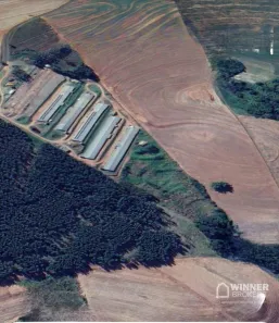 Fazenda/Sítio com 3 Quartos à venda, 121000m² no Barão de Lucena, Nova Esperança