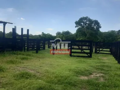 Fazenda/Sítio à venda, 500m² no , Mozarlândia