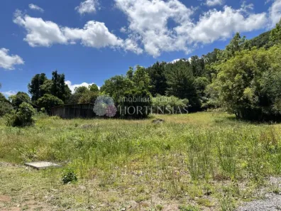 Fazenda/Sítio à venda, 22000m² no , Gramado