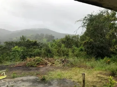 Fazenda/Sítio com 4 Quartos à venda, 1900m² no São Vicente de Paulo, Vitória de Santo Antão